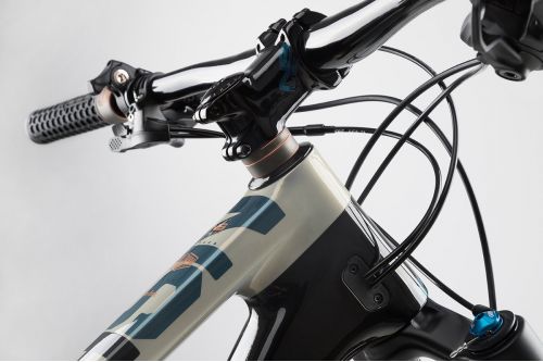 Rower górski NS BIKES 2020 SYNONYM TR 2 29